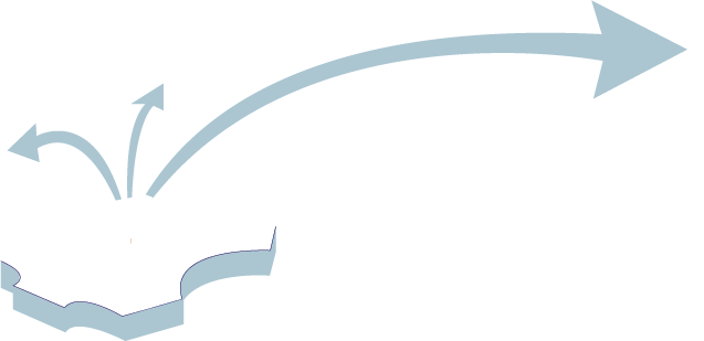 PMG